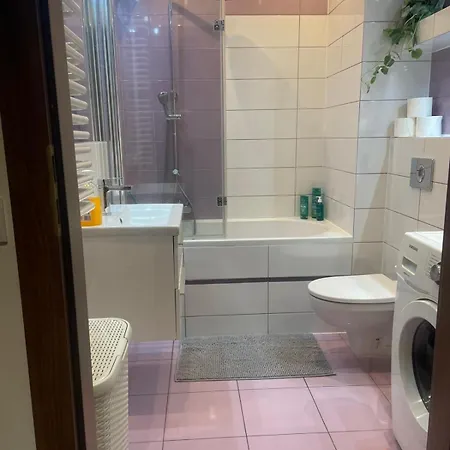 Z Ogrodem W Krakowie Краков